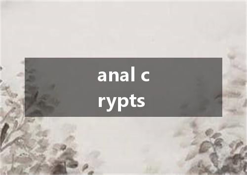 anal crypts是什么意思