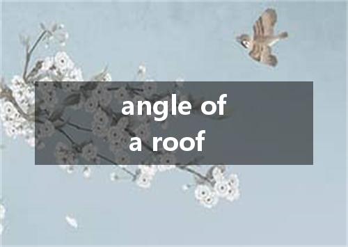 angle of a roof是什么意思
