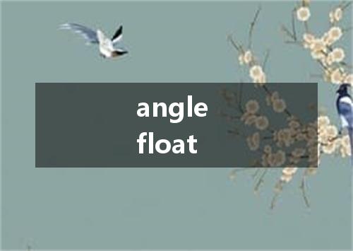 angle float是什么意思