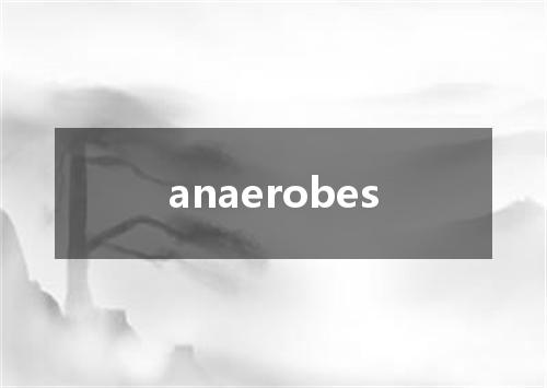 anaerobes是什么意思