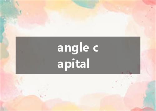 angle capital是什么意思