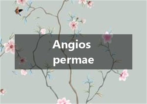 Angiospermae是什么意思