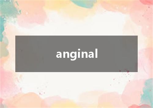 anginal是什么意思