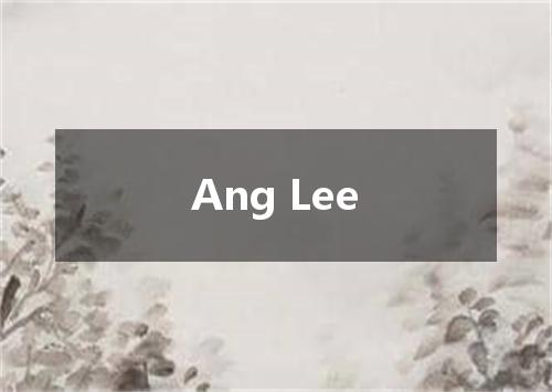 Ang Lee是什么意思
