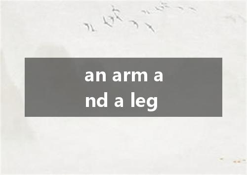 an arm and a leg是什么意思