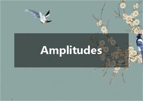 Amplitudes是什么意思