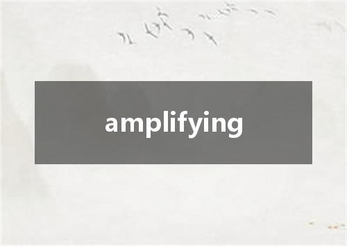amplifying是什么意思