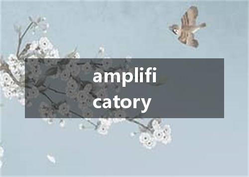 amplificatory是什么意思