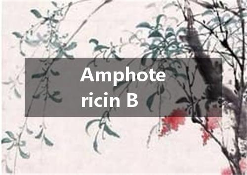 Amphotericin B是什么意思