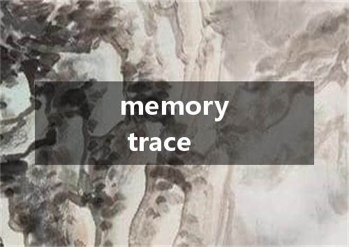 memory trace是什么意思