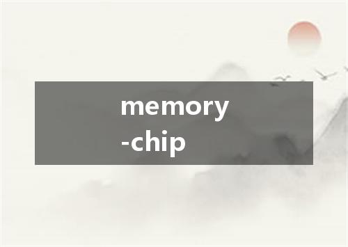 memory-chip是什么意思