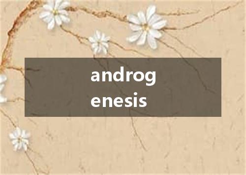 androgenesis是什么意思
