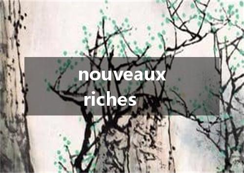 nouveaux riches是什么意思