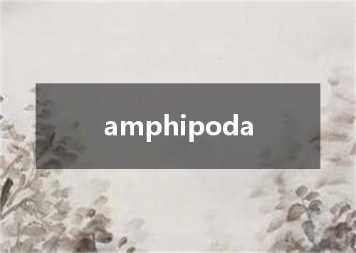 amphipoda是什么意思