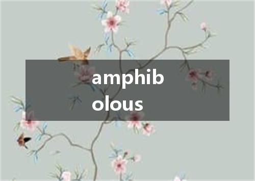 amphibolous是什么意思