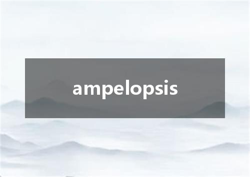 ampelopsis是什么意思