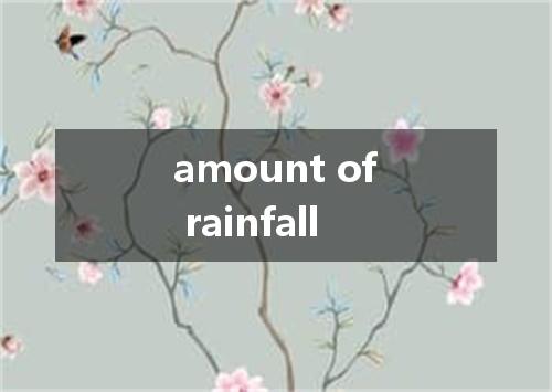 amount of rainfall是什么意思