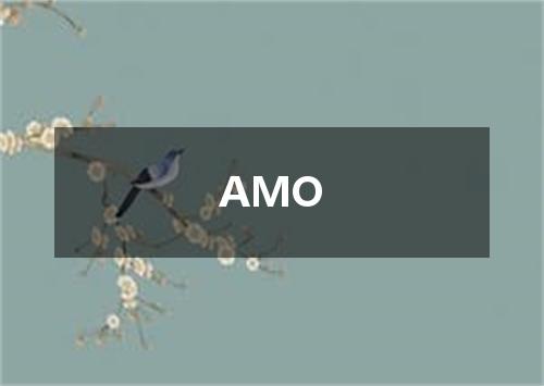 AMO是什么意思
