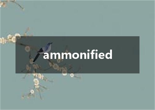 ammonified是什么意思