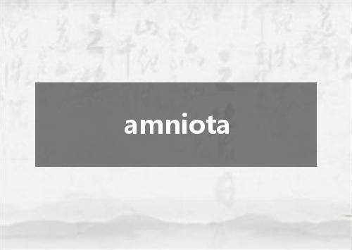 amniota是什么意思