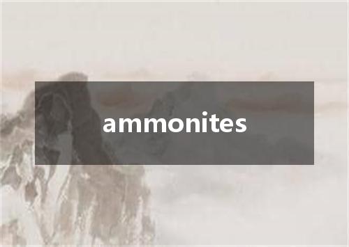 ammonites是什么意思