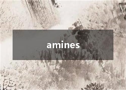 amines是什么意思