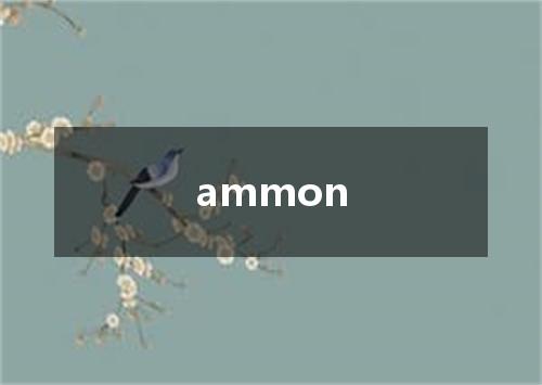 ammon是什么意思