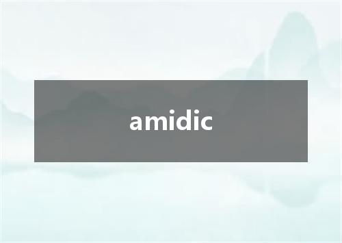amidic是什么意思