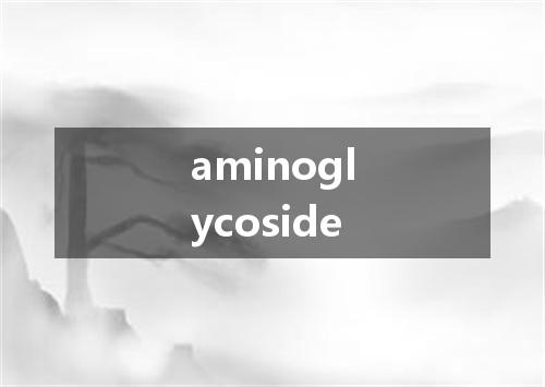 aminoglycoside是什么意思