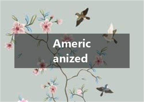 Americanized是什么意思