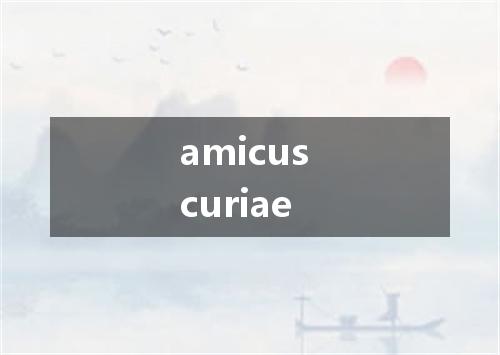 amicus curiae是什么意思