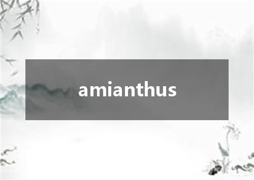 amianthus是什么意思