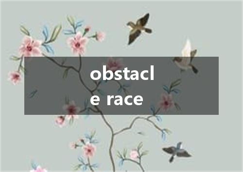 obstacle race是什么意思