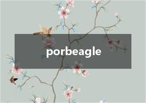 porbeagle是什么意思