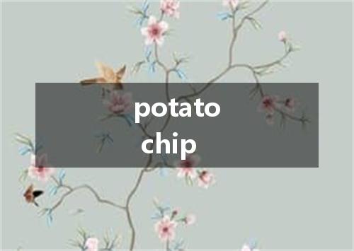 potato chip是什么意思