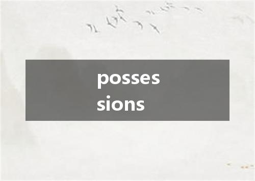 possessions是什么意思