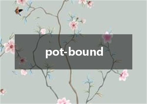 pot-bound是什么意思