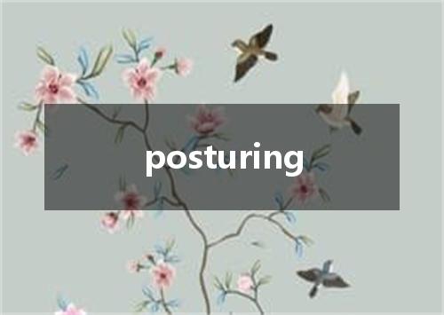 posturing是什么意思
