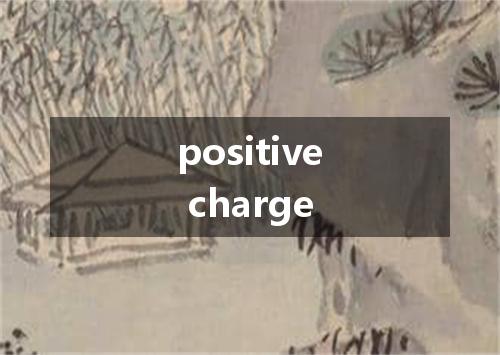 positive charge是什么意思