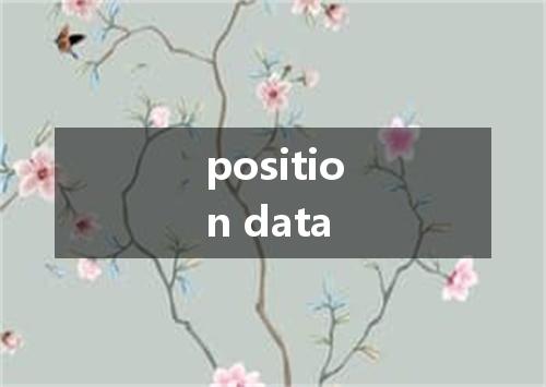 position data是什么意思