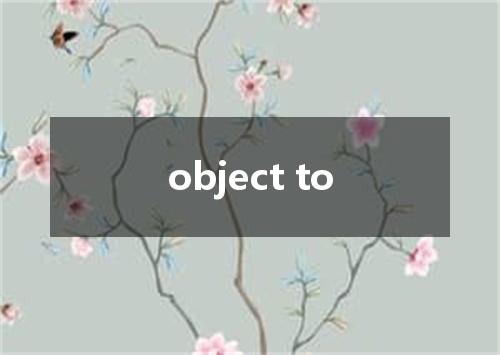object to是什么意思
