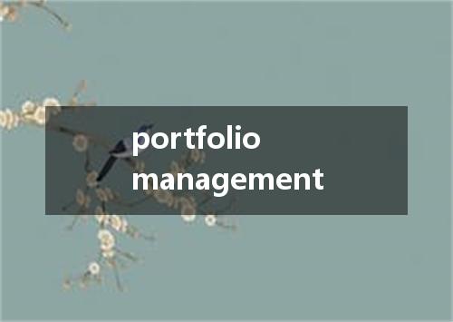 portfolio management是什么意思