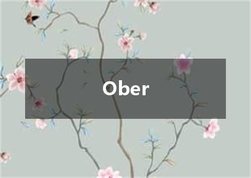 Ober是什么意思