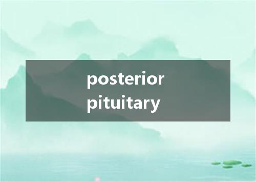posterior pituitary是什么意思