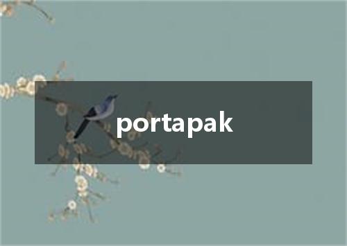 portapak是什么意思
