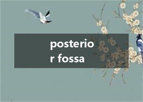 posterior fossa是什么意思