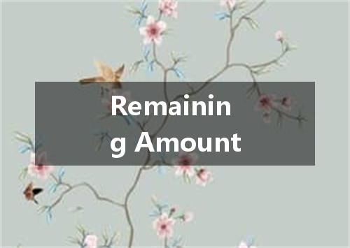 Remaining Amount是什么意思