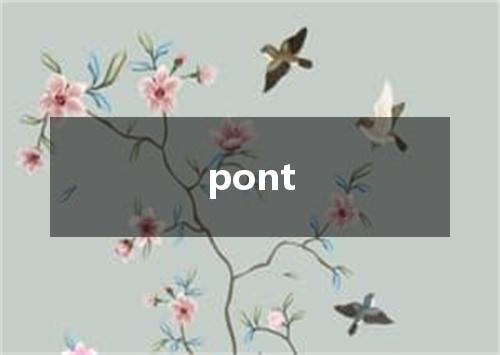 pont是什么意思
