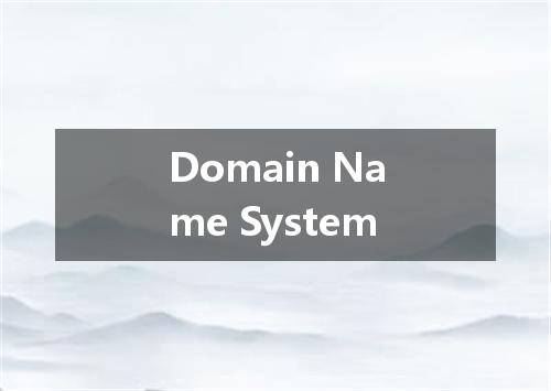 Domain Name System是什么意思