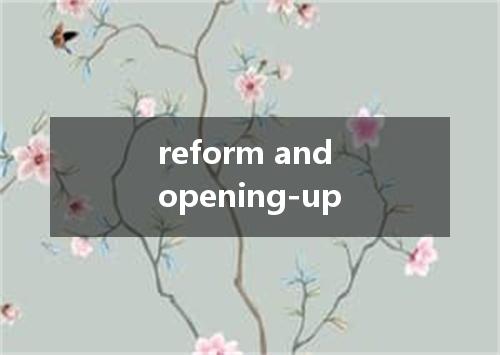 reform and opening-up是什么意思